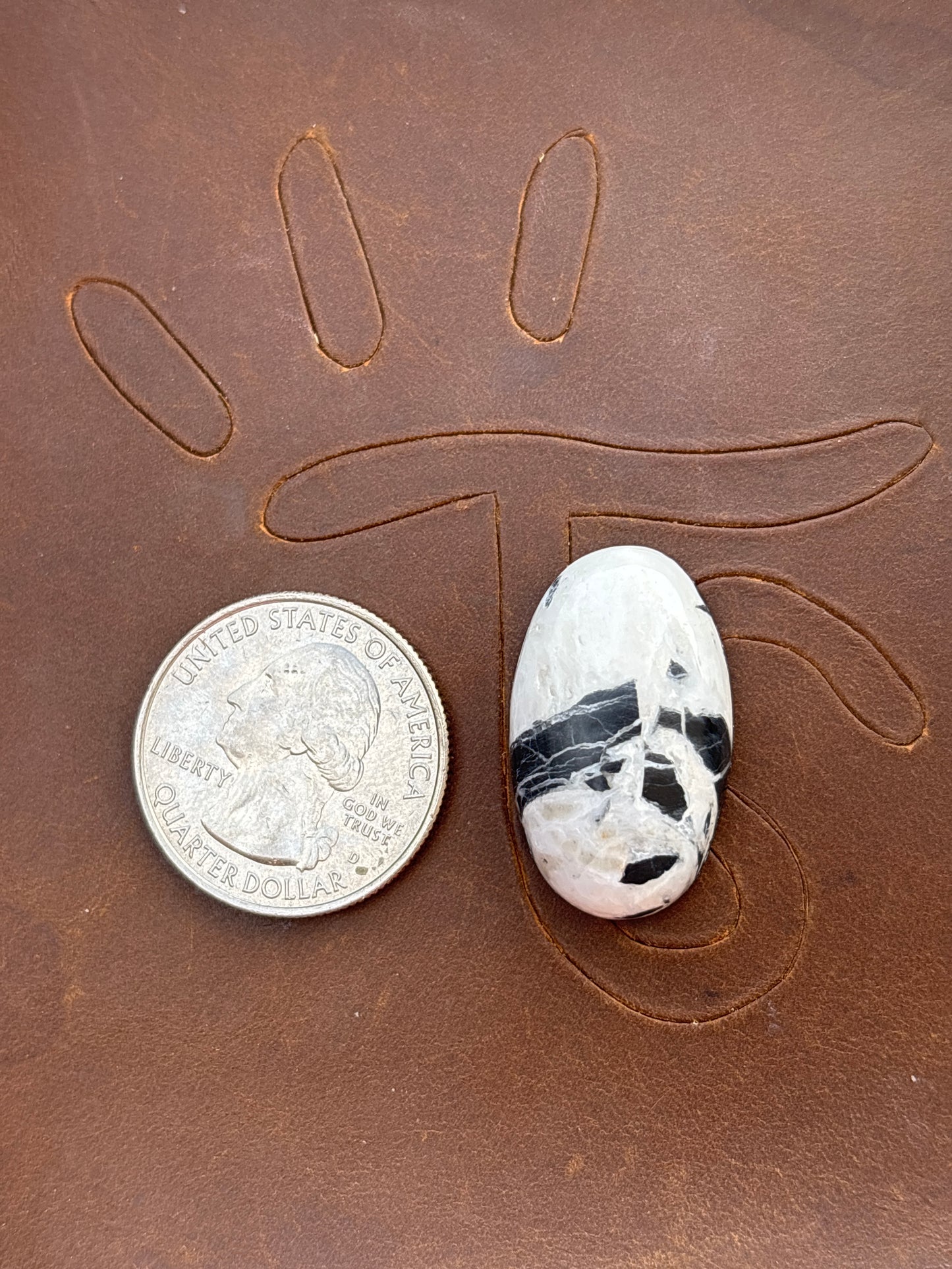 White Buffalo Cabochon