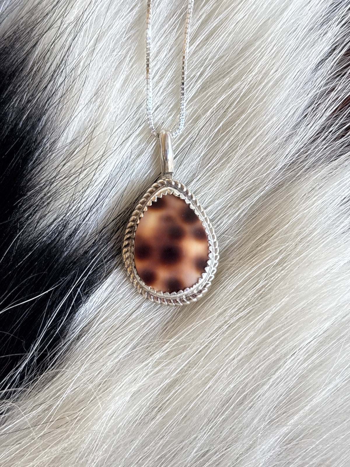 Native American, Hand-Made, Cowrie & Sterling Silver Necklace #5