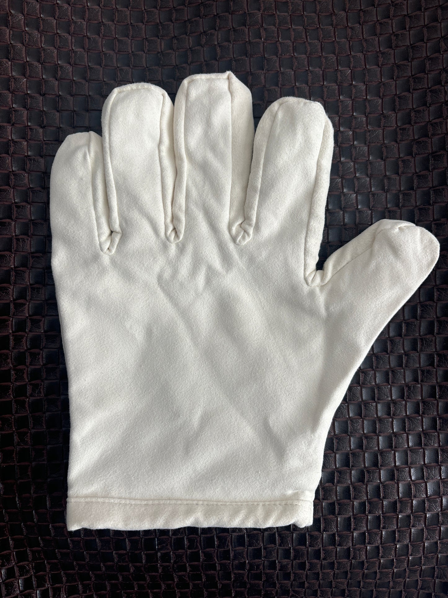 Polishing Glove