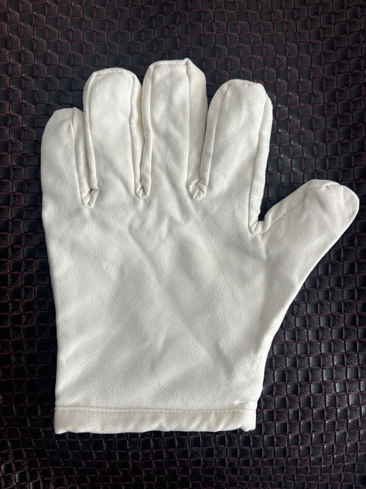 Polishing Glove