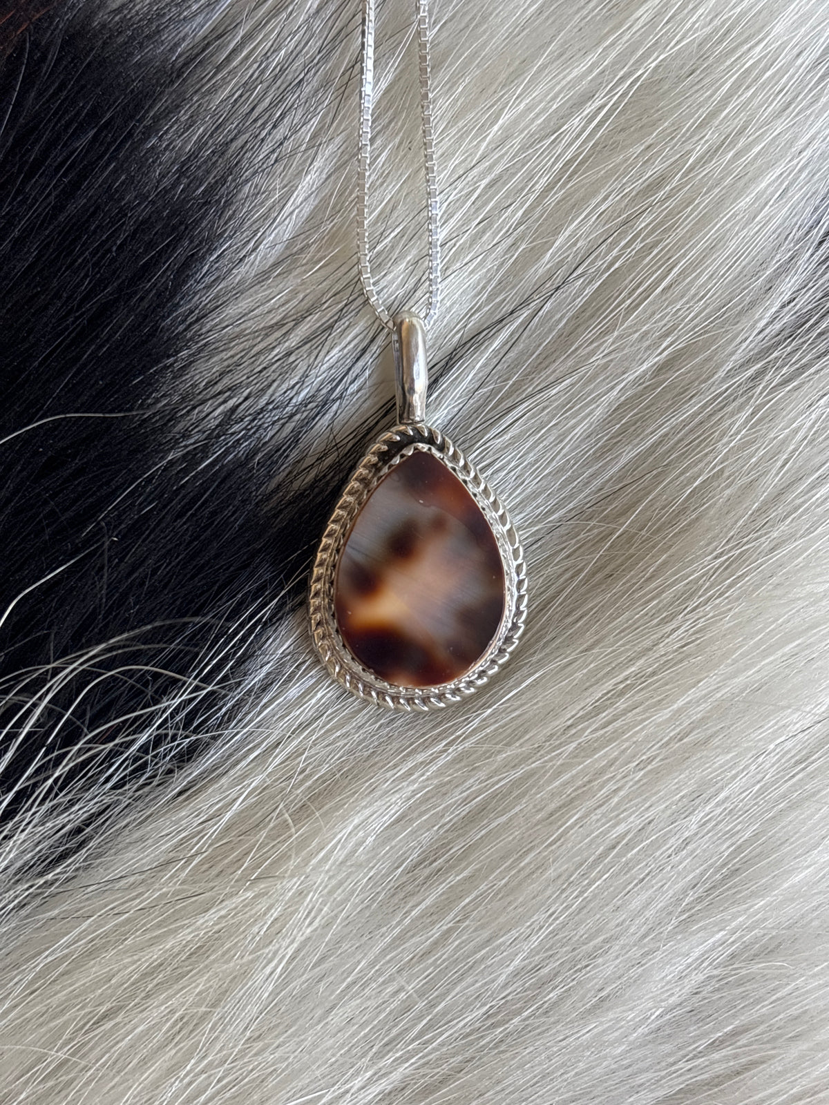 Native American, Hand-Made, Cowrie & Sterling Silver Necklace #4