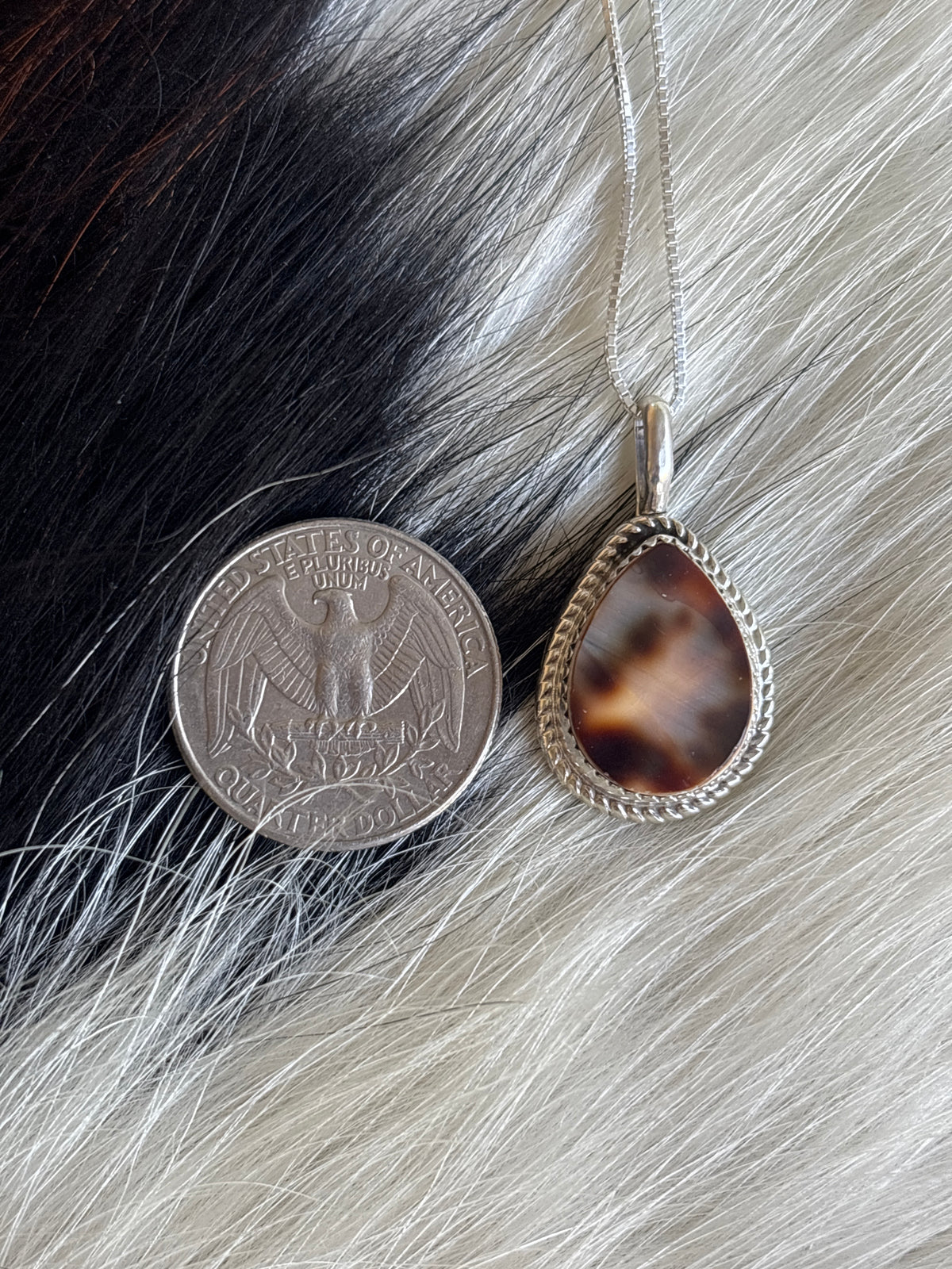 Native American, Hand-Made, Cowrie & Sterling Silver Necklace #4