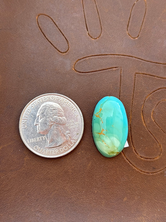 Royston Turquoise Cabochon