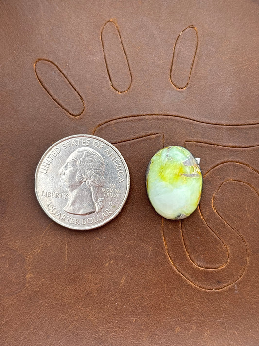 Palomino Variscite Cabochon