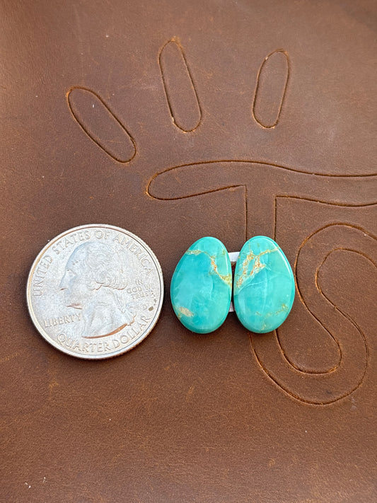 Turquoise Earrings Cabochon Set