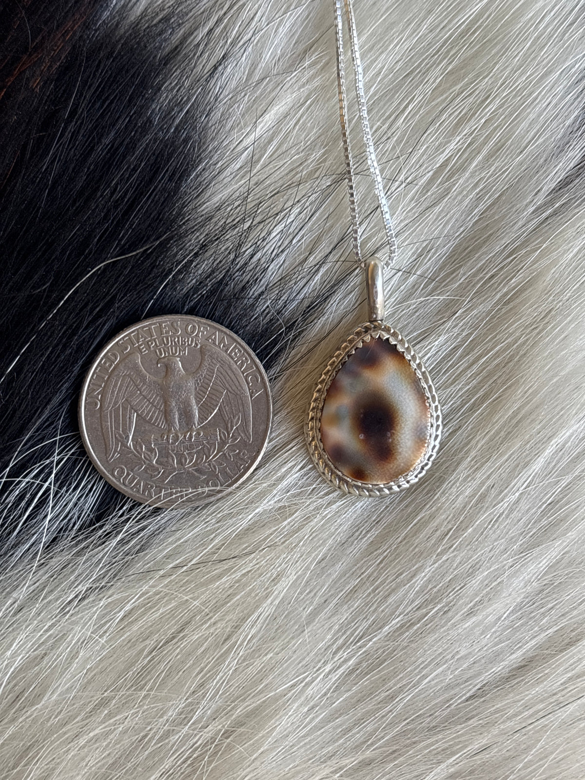 Native American, Hand-Made, Cowrie & Sterling Silver Necklace #1