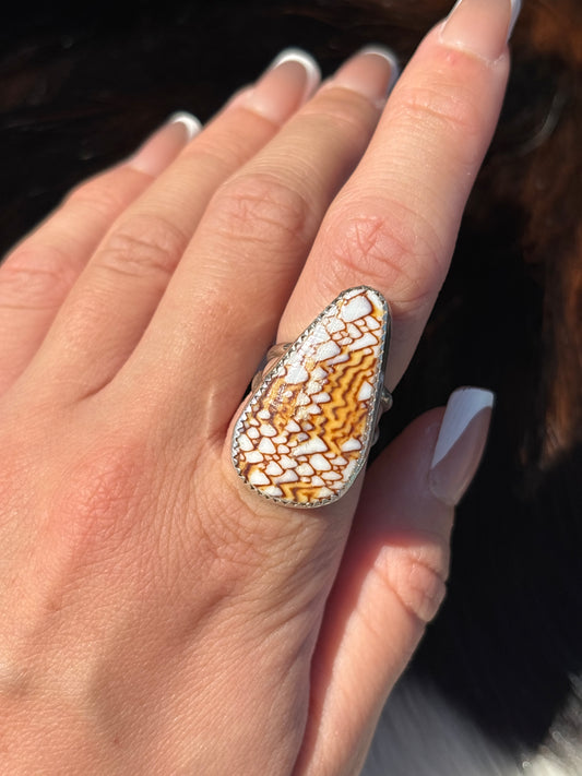 Native American, Hand-Made, Cone Shell & Sterling Silver Ring