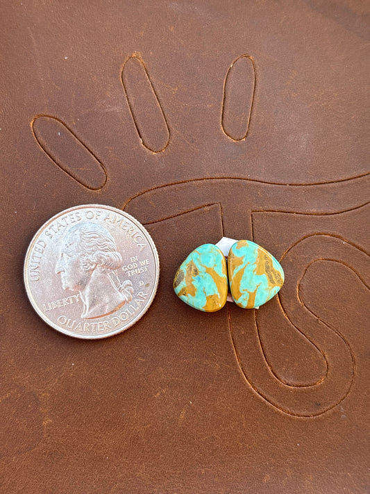 Turquoise Earrings Cabochon Set