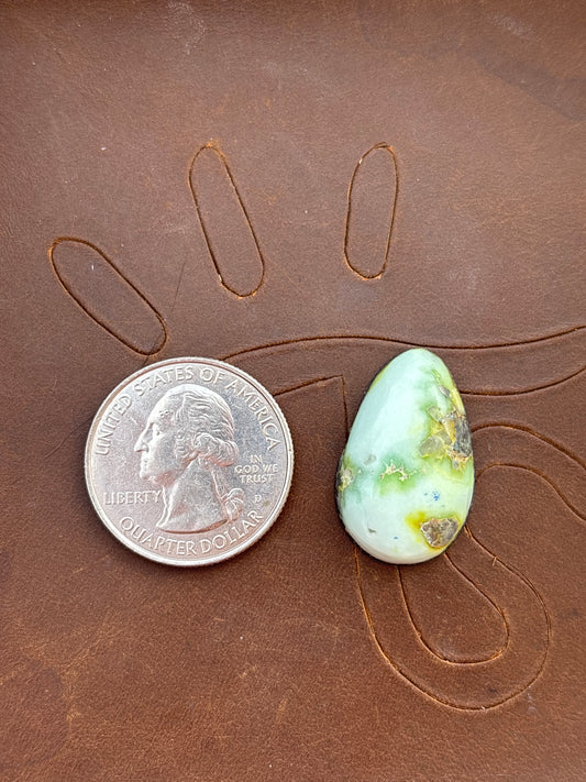 Palomino Variscite Cabochon