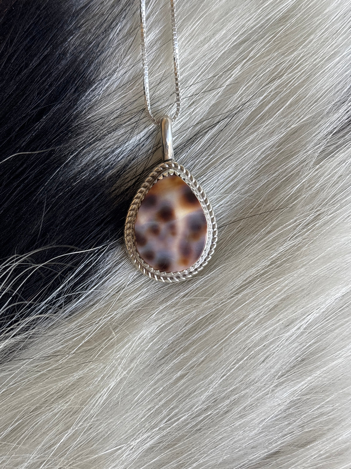 Native American, Hand-Made, Cowrie & Sterling Silver Necklace #3