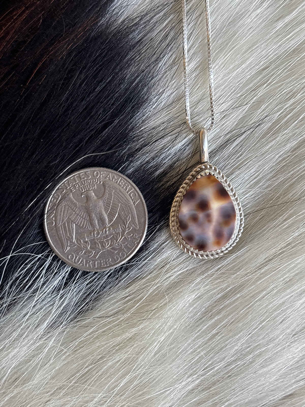 Native American, Hand-Made, Cowrie & Sterling Silver Necklace #3
