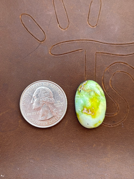 Palomino Variscite Cabochon