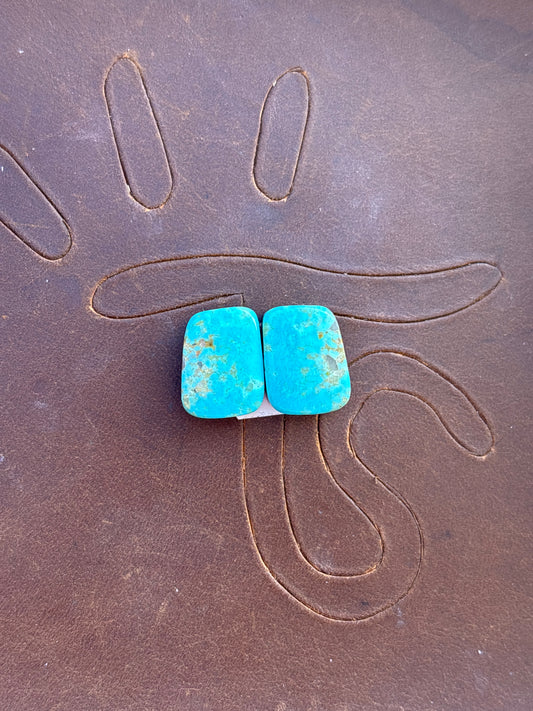 Turquoise Earrings Cabochon Set