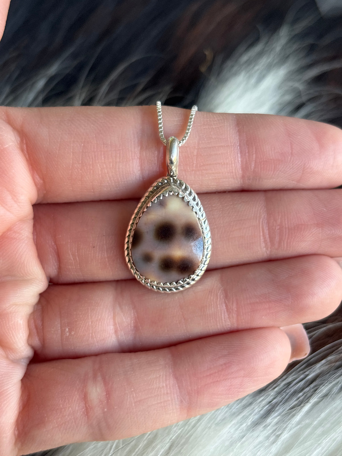 Native American, Hand-Made, Cowrie & Sterling Silver Necklace #2