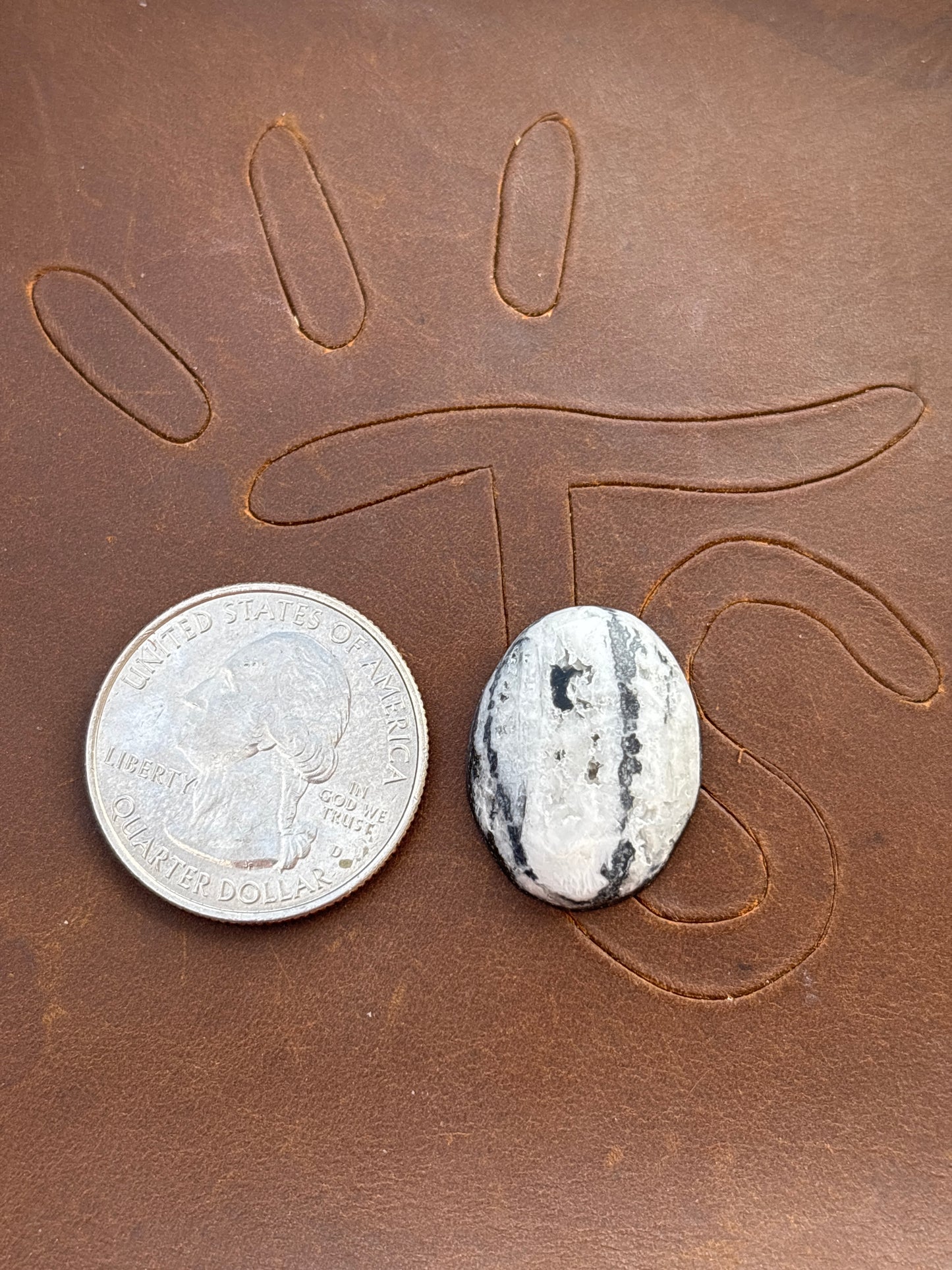 White Buffalo Cabochon