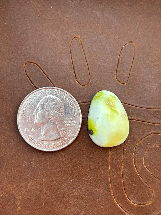 Palomino Variscite Cabochon